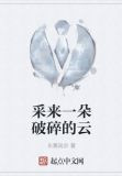 采来一朵破碎的云
